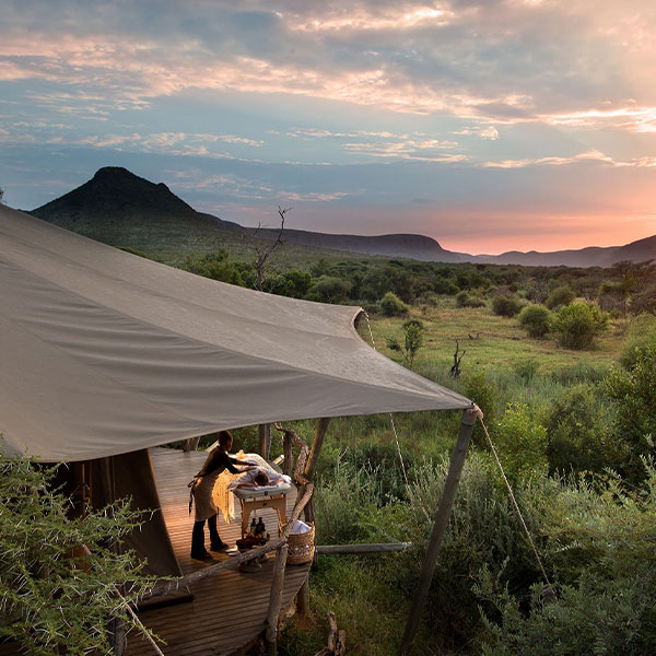 circuit wild family afrique du sud
