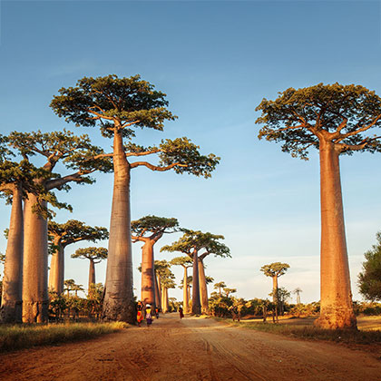 Afrique zone Madagascar