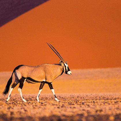 Afrique zone Namibie