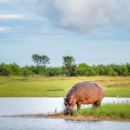 Afrique zone Zimbabwe