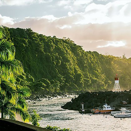 îles zone Réunion