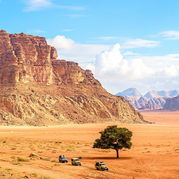 circuit sur les traces de lawrence d arabie jordanie