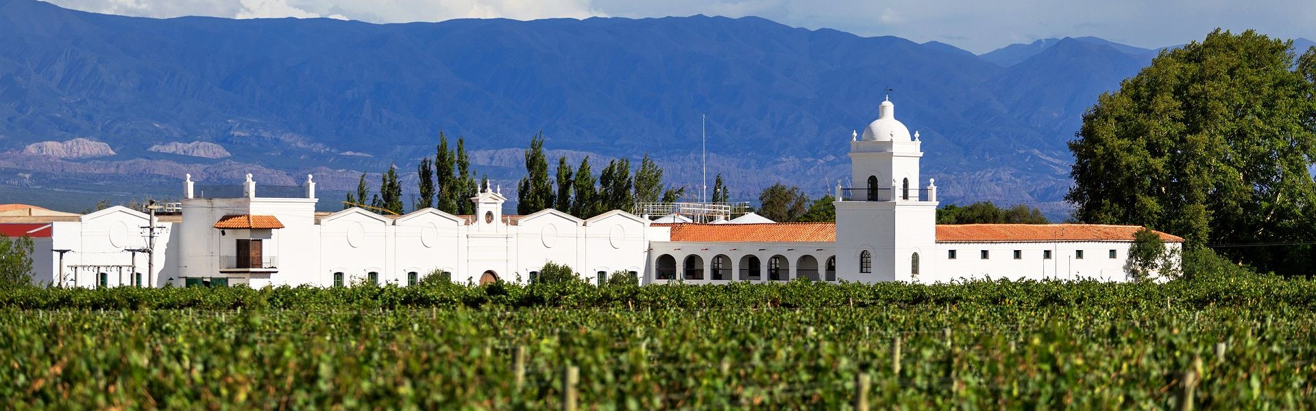 domaine viticole à cafayate avec sa batisse à la facade blanche et ses vignes verdoyantes au nord-ouest de l'argentine