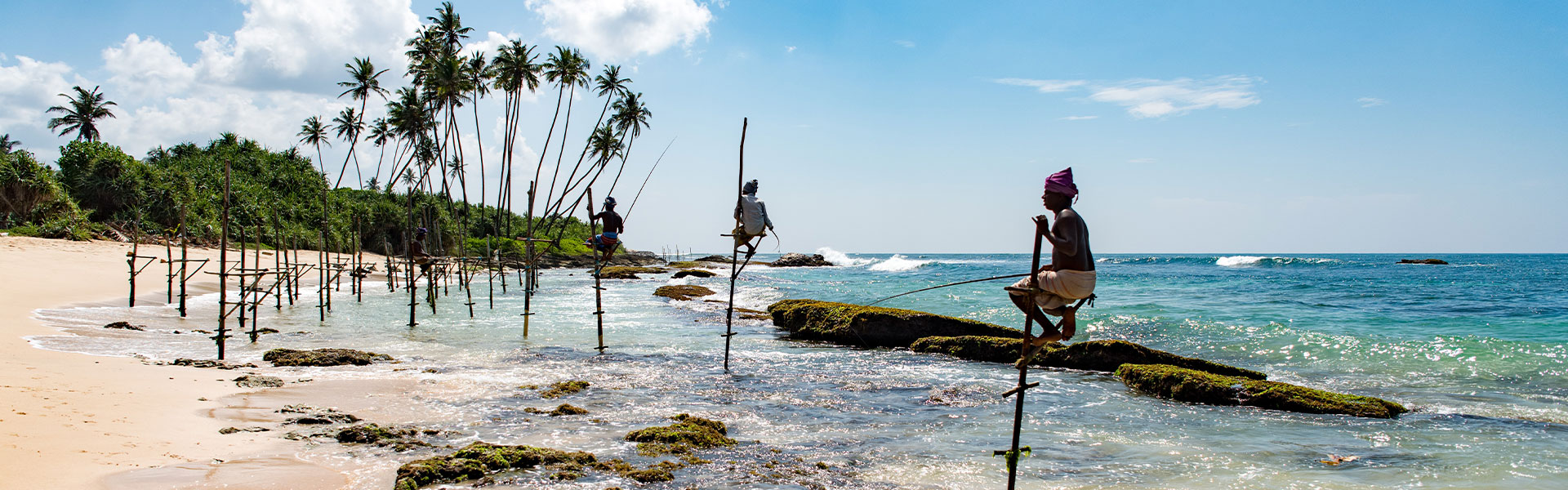 Diaporama Sri Lanka image 3