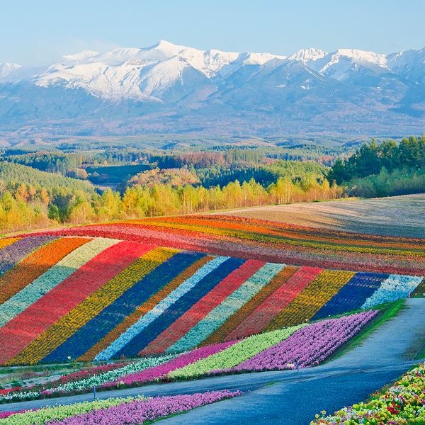 Voyage à Matsushima