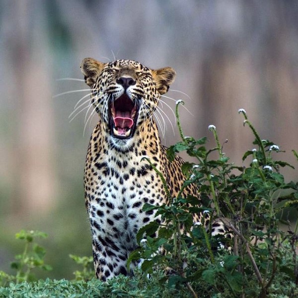 circuit l'ile resplendissante