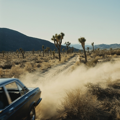Joshua Tree National Park