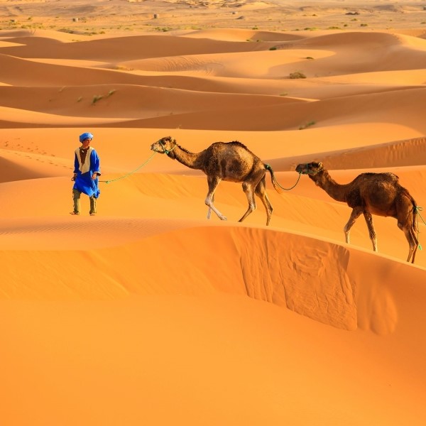 circuit le grand tour des lumières du maroc - crédit istock
