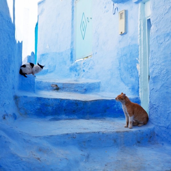 Les Milles Visages du Maroc - crédit Galyna Andrushko - Fotolia