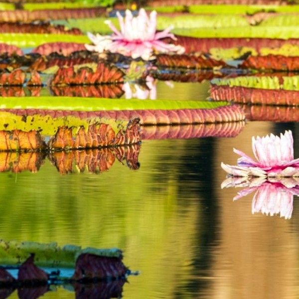 Les méandres du paradis vert