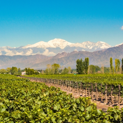 mendoza