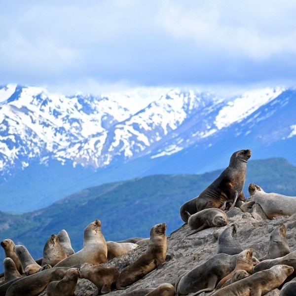 circuit mission polaire : l'antarctique