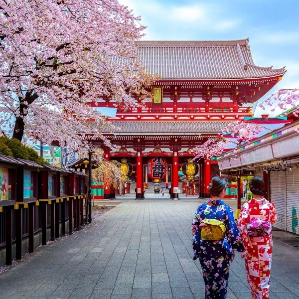 circuit odyssée nippone