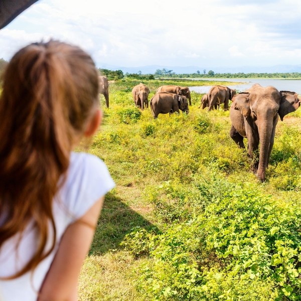 circuit portrait de famille cinghalais