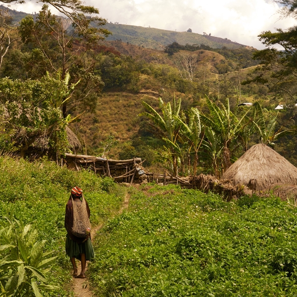 Papouasie, ici bat l'aventure