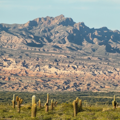 Voyage au Parc national Los Cardones