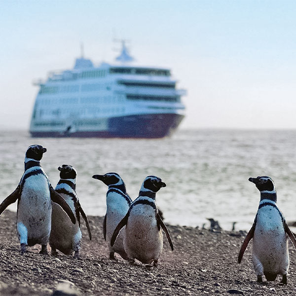 circuit des andes aux fjords patagoniens - croisière australis