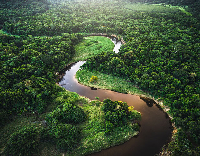 Les méandres du fleuve Amazone