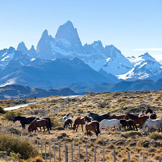 Steppes Patagonie argentine