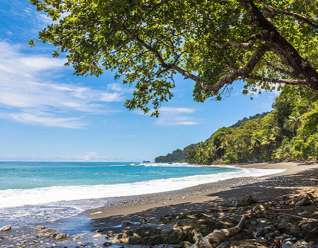 parc national corcovado