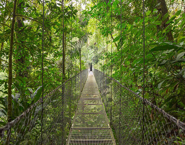 ponts suspendus costa rica