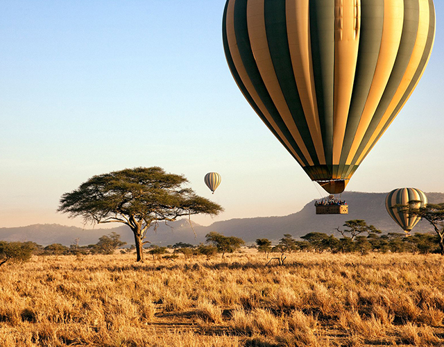 Survol du Serengeti en montgolfière au lever du jour