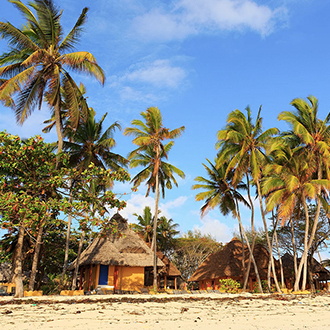 Plage de Zanzibar bordée de palmiers et d’océan turquoise