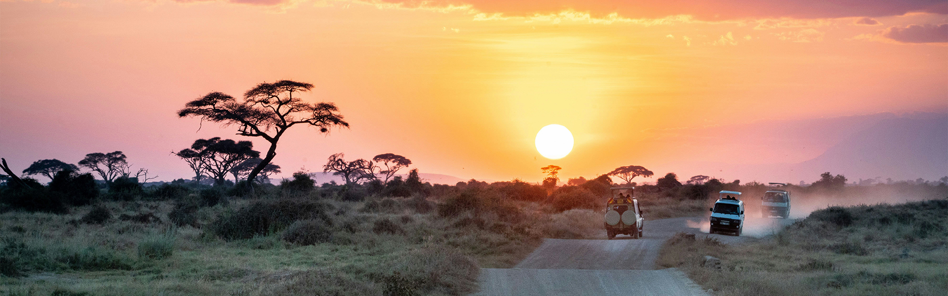 Jeep de safari au crépuscule