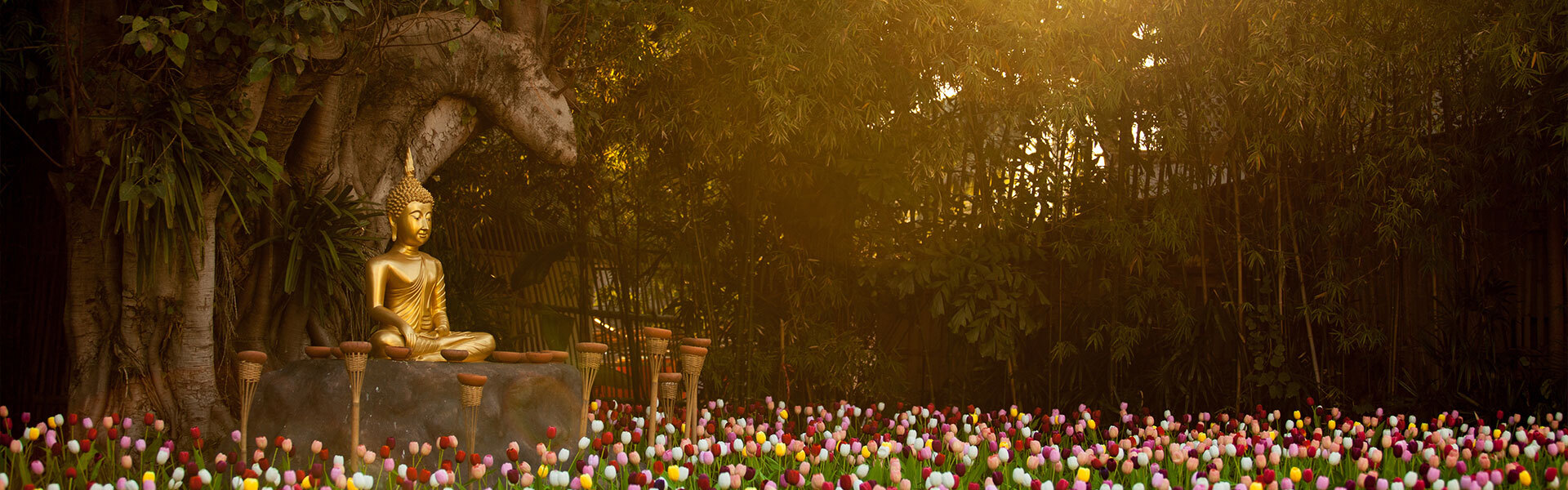 Bouddha d'or dans les jardins du temple de Wat Phan Tao