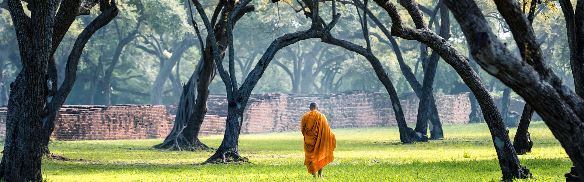 Moine solitaire à Ayutthaya