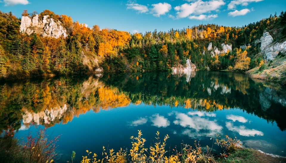 paysage automnal en nouvelle-écosse canada