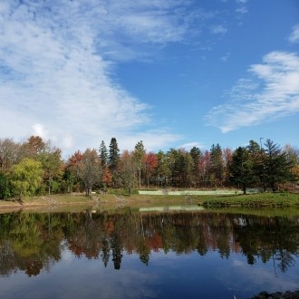 moncton