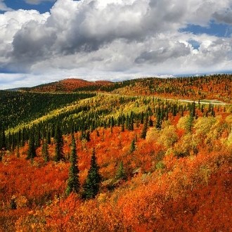yukon