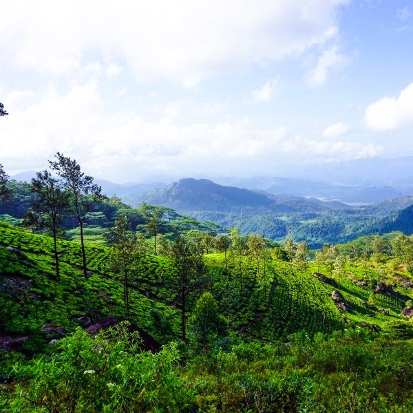 circuit royaume de ceylan et lagons secrets