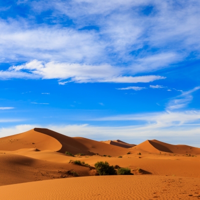 Sahara