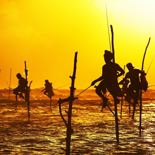 circuit un thé avec bouddha