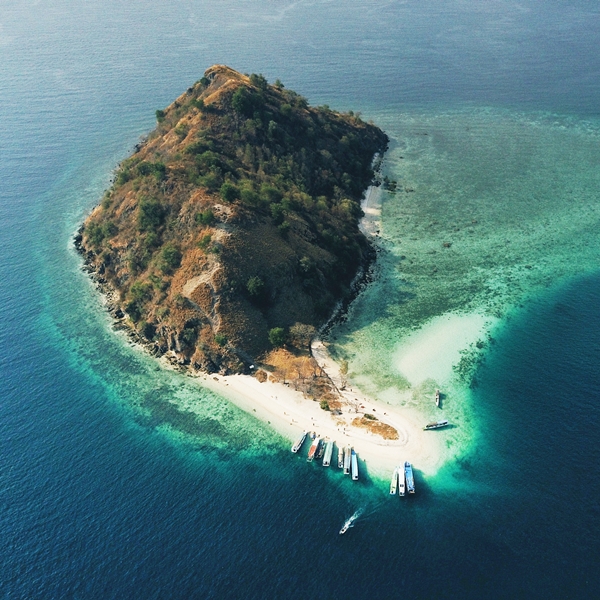 À la rencontre des dragons de Komodo