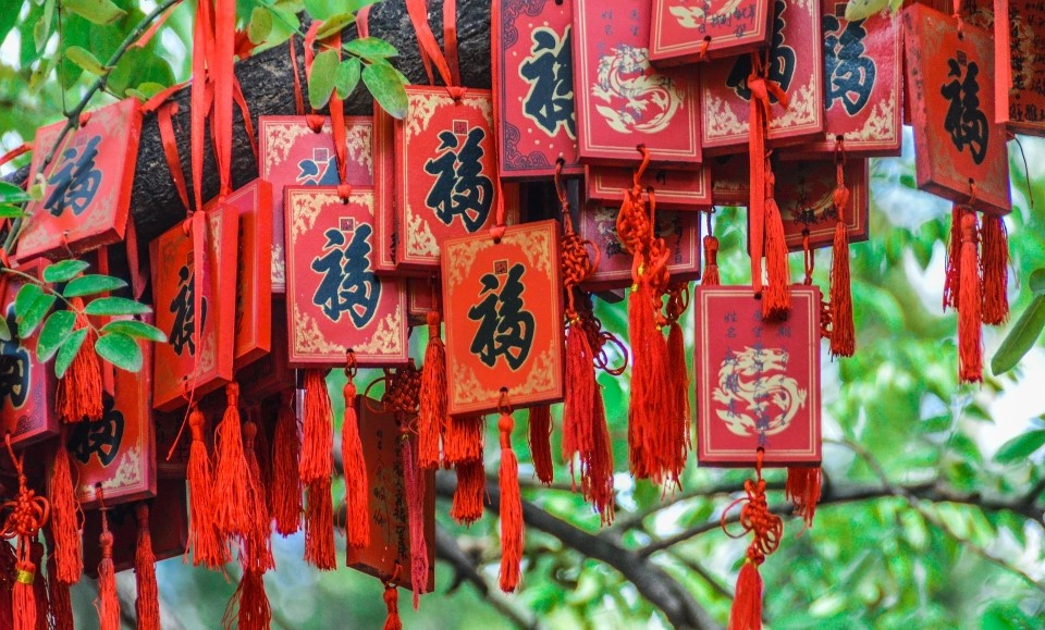 arbre des prières et des souhaits à tokyo au japon