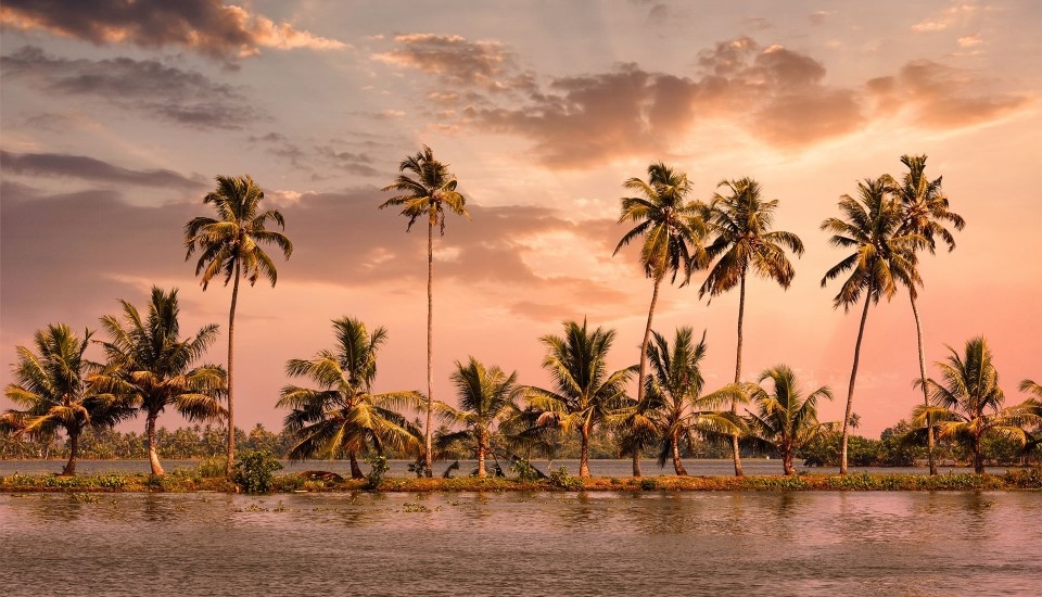 backwaters ornés de cocotiers sous le coucher de soleil au kerala en inde