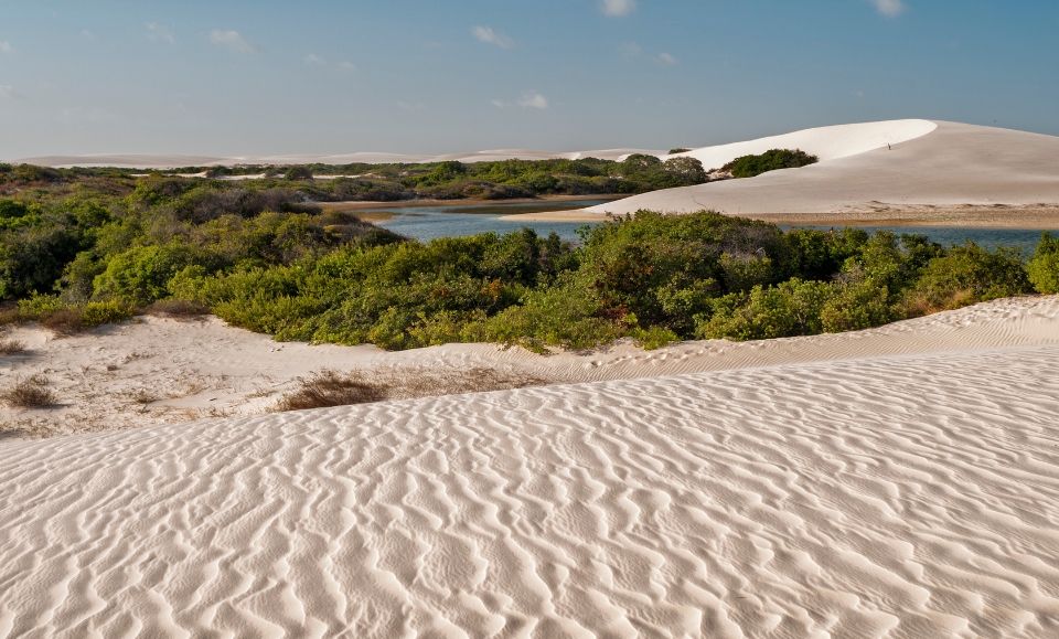 dunes, lagunes et végétation sous un ciel bleu au parc national des lençois maranhenses dans le nordeste au brésil