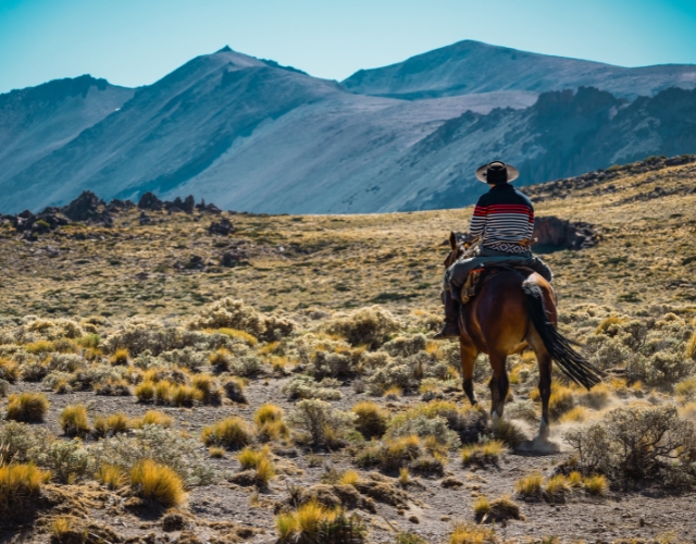 gaucho sur son cheval dans la steppe de patagonie argentine