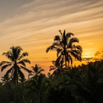 munduk spot bali