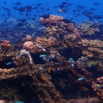 pemuteran spot bali