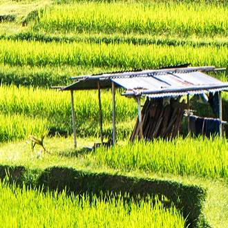 tabanan spot bali