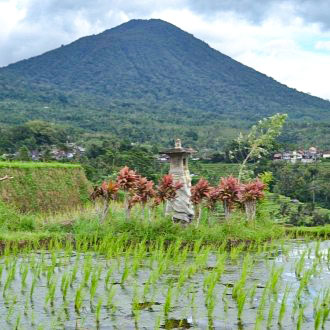 temple batukaru spot bali