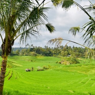 belimbing spot bali