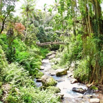 parc national bali barat spot