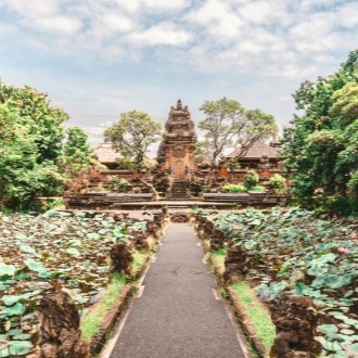 ubud spot bali