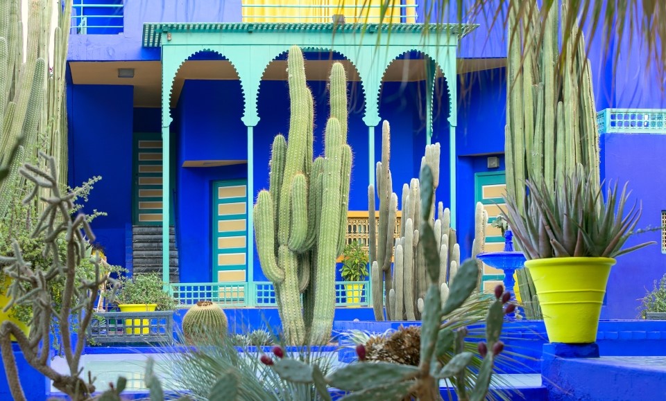 le jardin majorelle et sa villa art déco bleue cobalt à marrakech au maroc