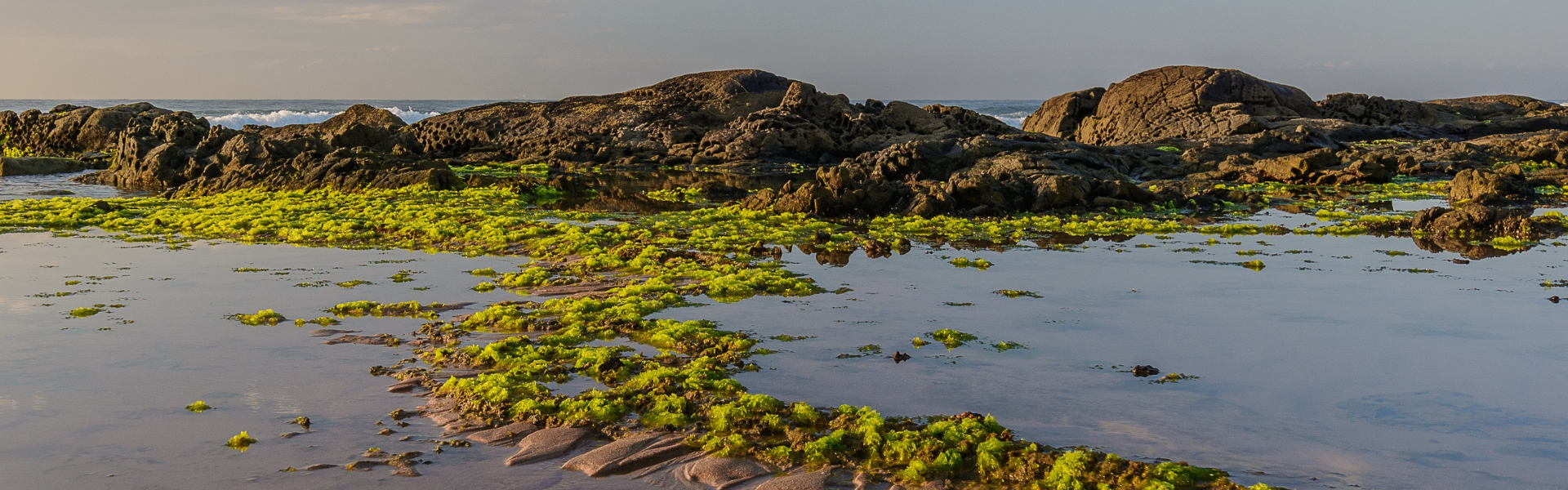 plage de Itapuã à Salvador de Bahia au Brésil
